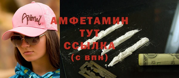индика Армянск