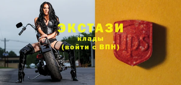 шишки Аркадак