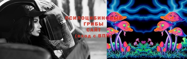 шишки Аркадак