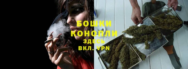шишки Аркадак