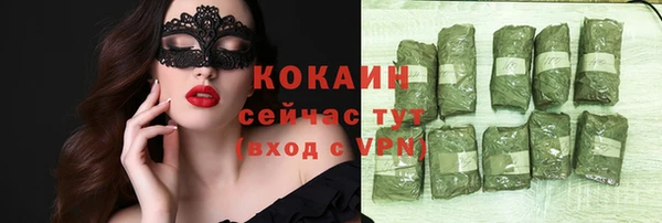 индика Армянск