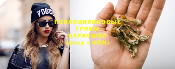 шишки Аркадак