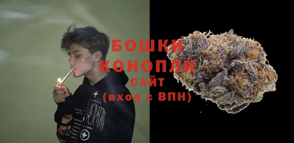 шишки Аркадак