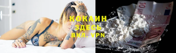 индика Армянск