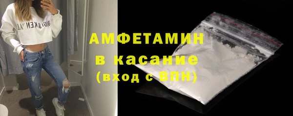 стафф Алексин