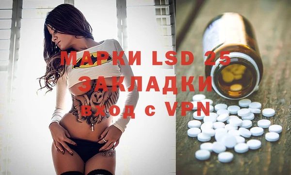 индика Армянск