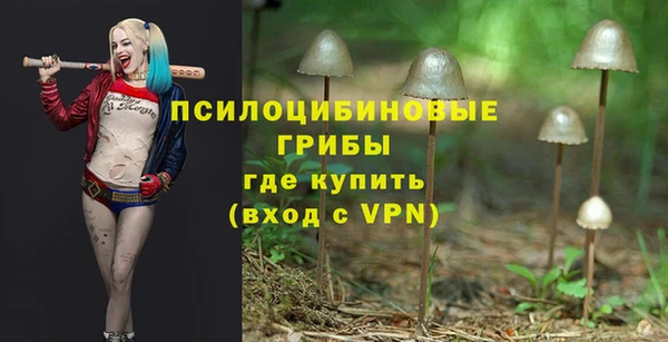 шишки Аркадак