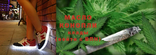 индика Армянск