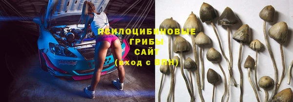 шишки Аркадак